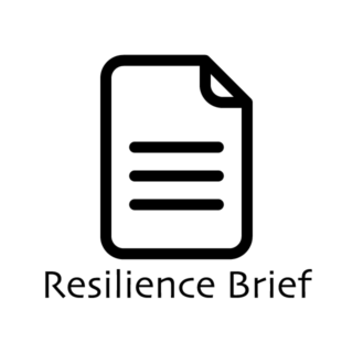 Resilience Brief（本プロジェクトに参画した博士課程学生によるNote）